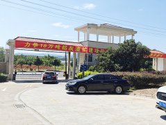 振动流化床干燥机-用户现场