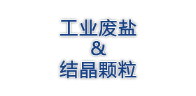 工业废盐结晶颗粒干燥设备