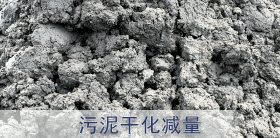 污泥干化减量设备